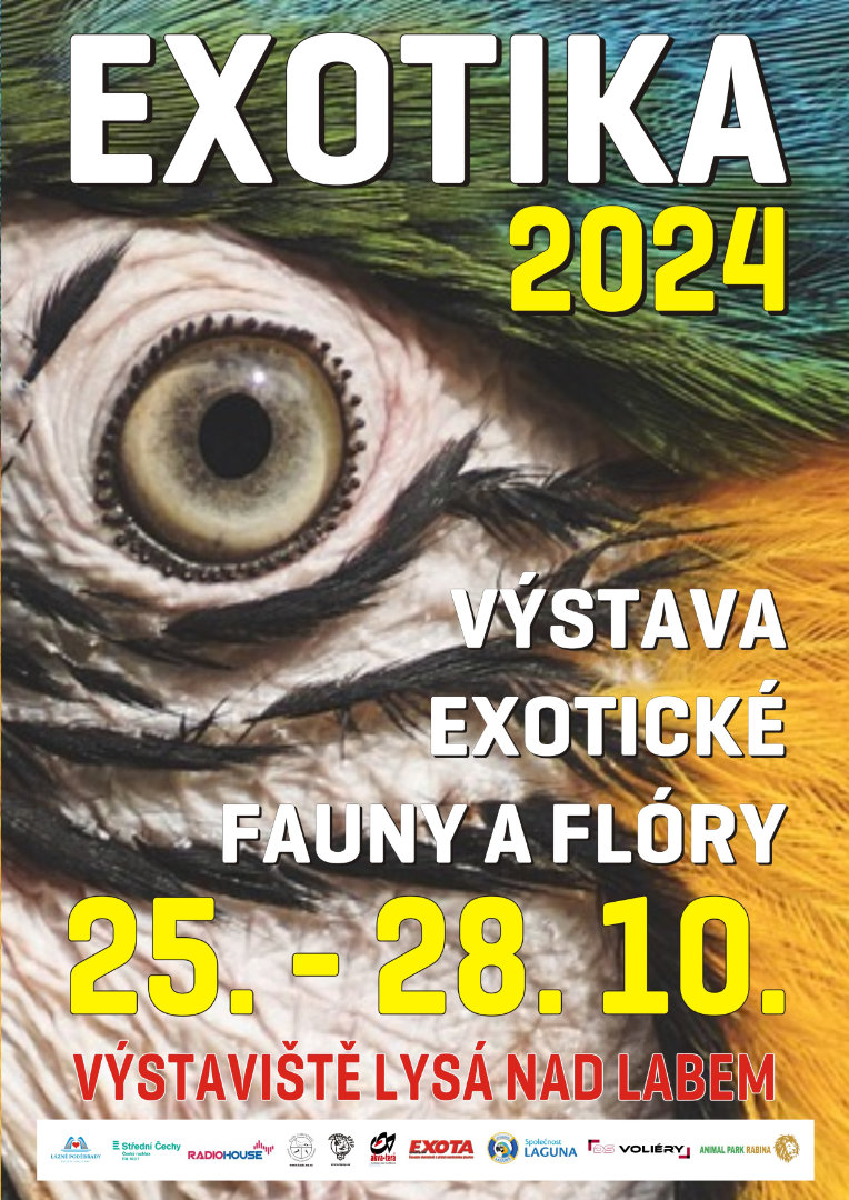 exotika 2024