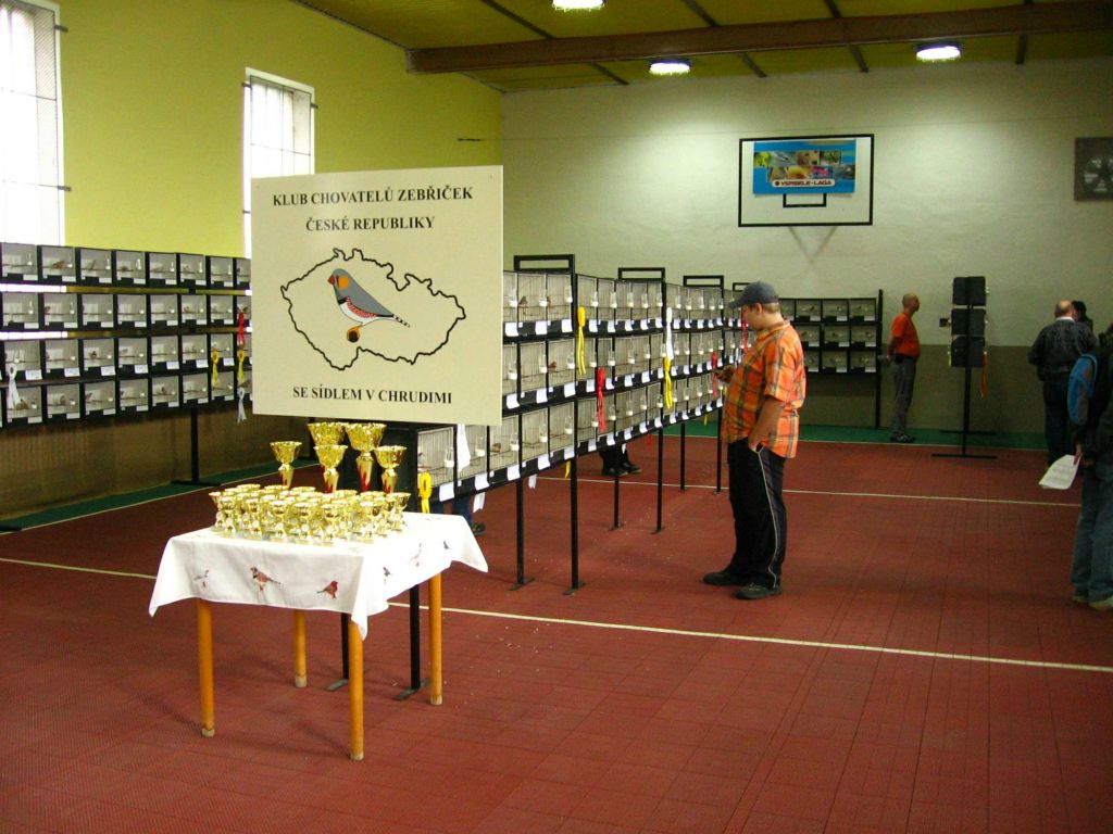 12. Klubová výstava